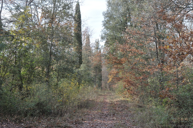 Escursione del tardo autunno nelle colline chiantigiane